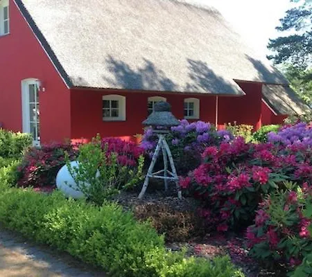 Ferienhaus Silbermowe Stubbenfelde